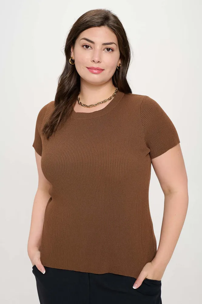 Plus Ribbed Sweater in Chocolate by Blu Pepper